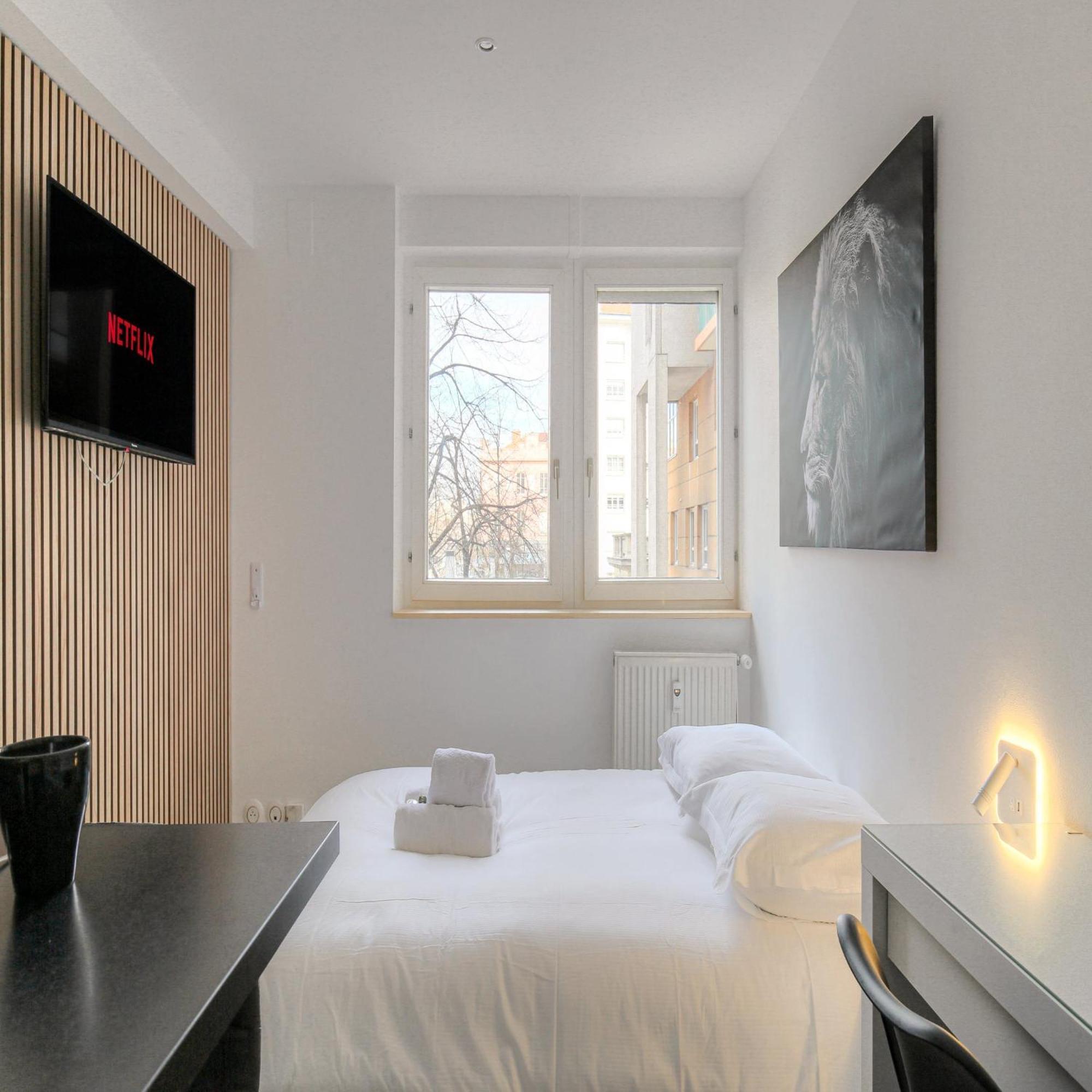 Appartement Lionne-stade Du Lou Lyon